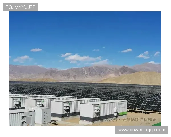 球场能源效率提升计划，太阳能板安装与水资源循环利用系统建设